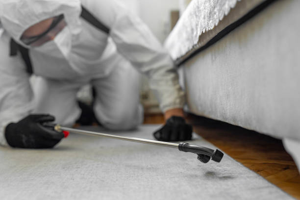 Professional Bed Bug Control technician working in Lemon Hill, CA