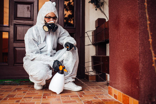 Reliable Bed Bug Control contractor in Lemon Hill, CA by Nex Pest Control